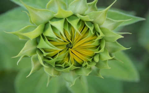 怎么新建一个mysql数据库-VPS联盟