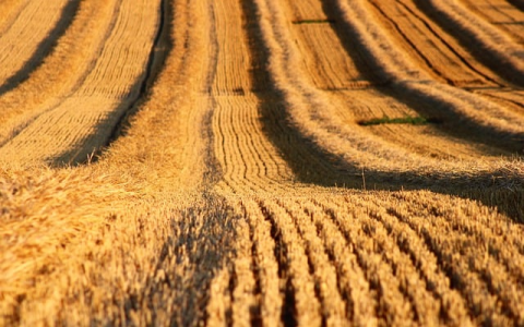 中关村硅谷机房-VPS联盟