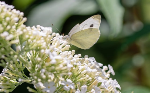 长沙双线服务器托管-VPS联盟