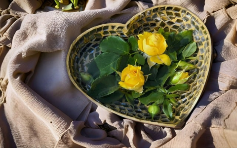 中国第一台www服务器-VPS联盟