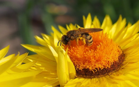 怎么卖虚拟主机空间-VPS联盟
