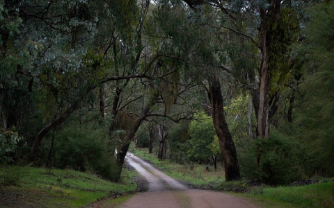怎么租国外服务器-VPS联盟