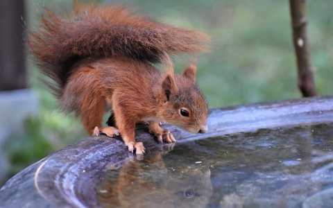 中国邮政香港-VPS联盟