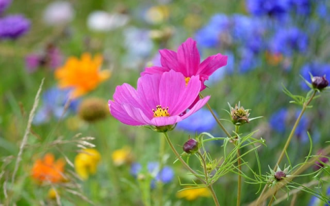 中山电信服务器-VPS联盟