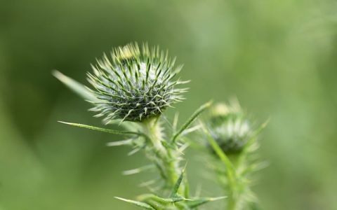 浙江vpsyunadsl-VPS联盟