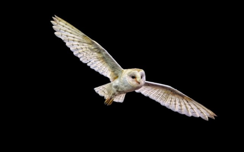 怎样开启云服务器配置-VPS联盟