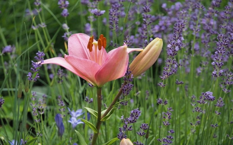 怎么设置云邮箱服务器地址-VPS联盟