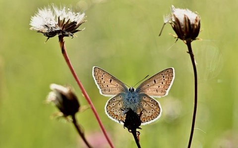 浙江双线服务器机房-VPS联盟