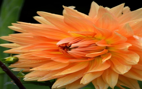 中网科技云服务器-VPS联盟