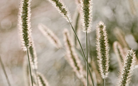 怎么连接到服务器主机-VPS联盟