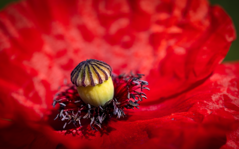 怎么用流量攻击服务器-VPS联盟