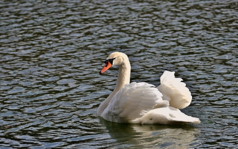 中国有服务器吗-VPS联盟