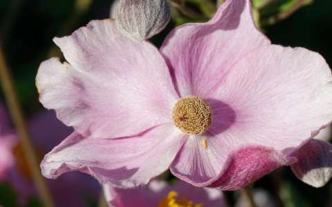 怎么上传网站程序到空间-VPS联盟