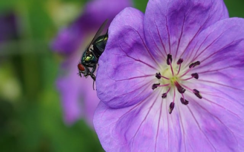 怎样查网站空间地址-VPS联盟