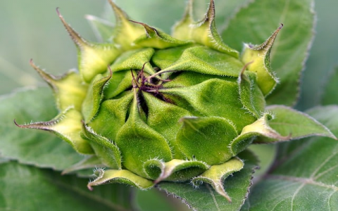 中国移动云主机的收费-VPS联盟