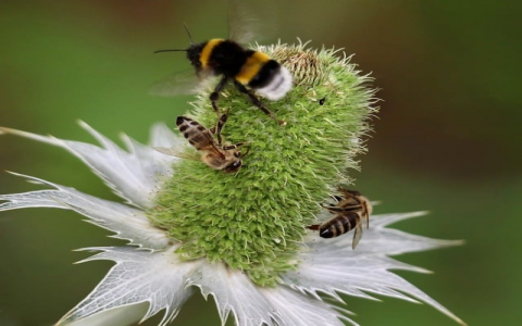 长沙麓谷数据中心-VPS联盟
