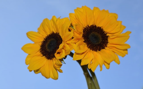 中国移动数据中心机房电源-VPS联盟