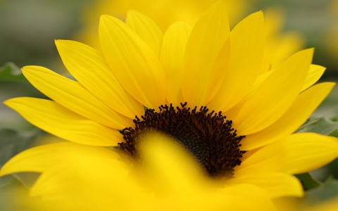 支持aspx空间-VPS联盟