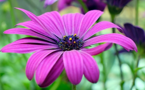 中数据域名密码-VPS联盟