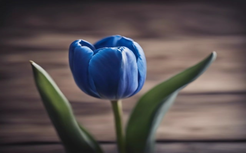 怎么看服务器到期-VPS联盟