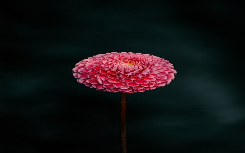 怎么上传文件到qq空间-VPS联盟