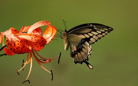 中国机房工程企业排行榜-VPS联盟