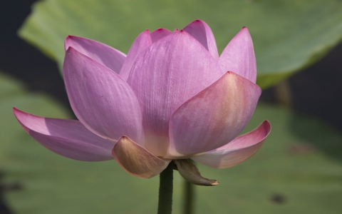 中国服务器在哪里-VPS联盟