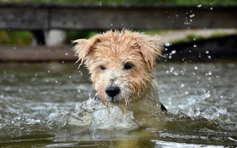 怎么在香港租个vps-VPS联盟