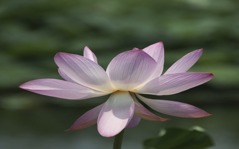 中国万网域名注册收费-VPS联盟