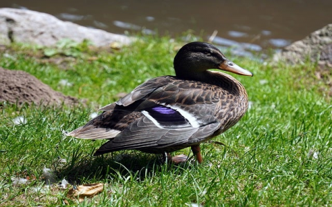 浙江服务器托管-VPS联盟