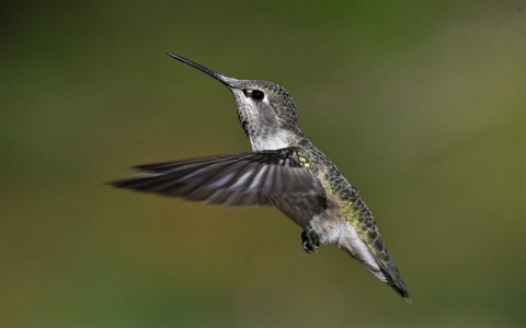 中国新机房-VPS联盟