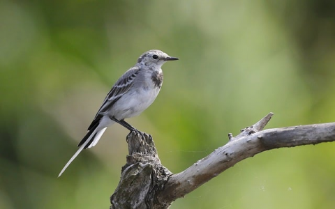 中国移动数据中心仓储式机房设计-VPS联盟