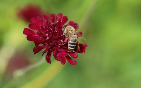 浙江省网站备案流程-VPS联盟