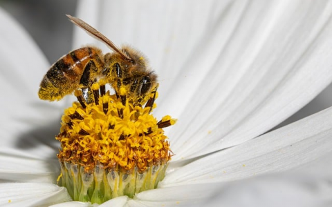 找回万网主机-VPS联盟