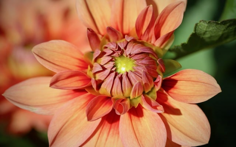 中国万网数据中心-VPS联盟