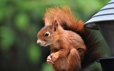 支持asp的空间-VPS联盟