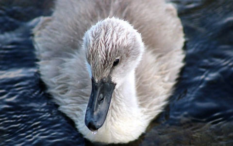 中网云空间-VPS联盟