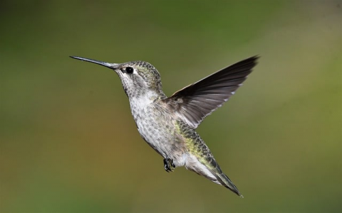 中国无忧主机怎么样-VPS联盟