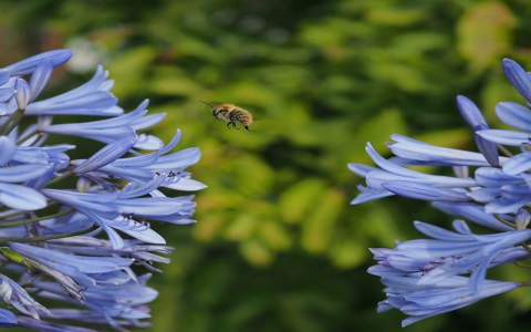怎么连接网站的虚拟主机-VPS联盟