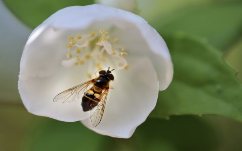 浙江金华电信数据中心-VPS联盟