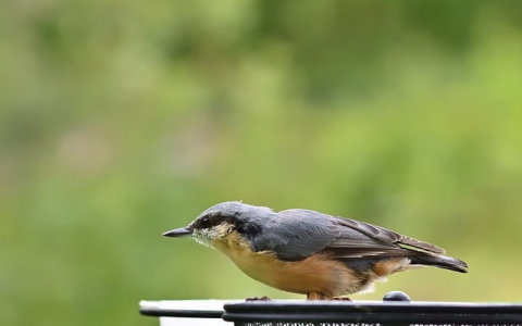 中国万网服务器空间价格-VPS联盟