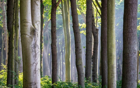 中国电信机房值班-VPS联盟