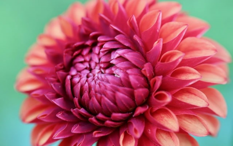 怎样看服务器网速-VPS联盟