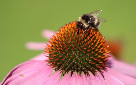 找机房网-VPS联盟