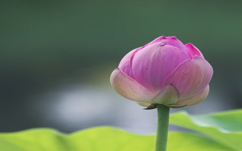 郑州idc公司-VPS联盟