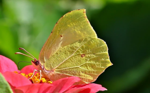 怎么在云服务器上搭建网站-VPS联盟