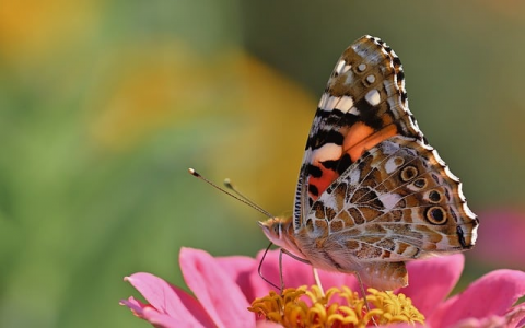 怎么在qq空间里发东西-VPS联盟