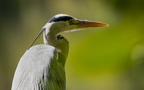 怎么做好idc销售-VPS联盟