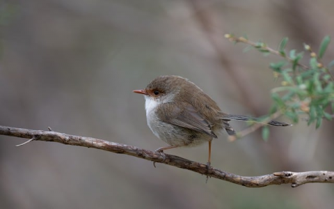 怎么在服务器里面加ip-VPS联盟