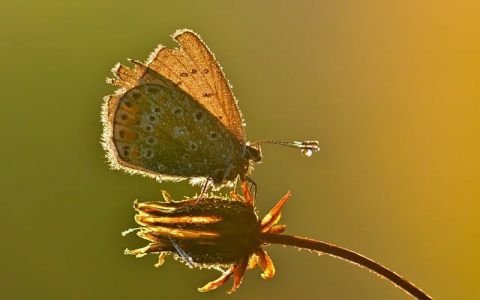 中国kz服务器-VPS联盟